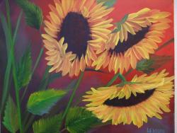 Sunflowers by John Leasure